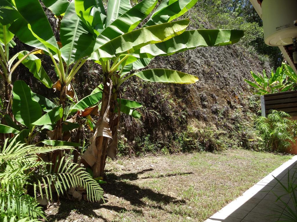 Hébergement de vacances Les 3 Collines Le Gosier (Grande-Terre)